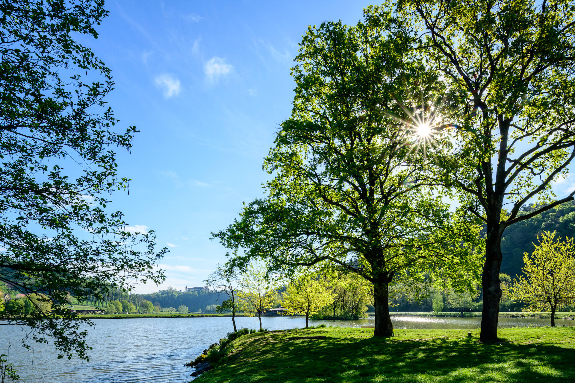 Weinberge Südsteiermark