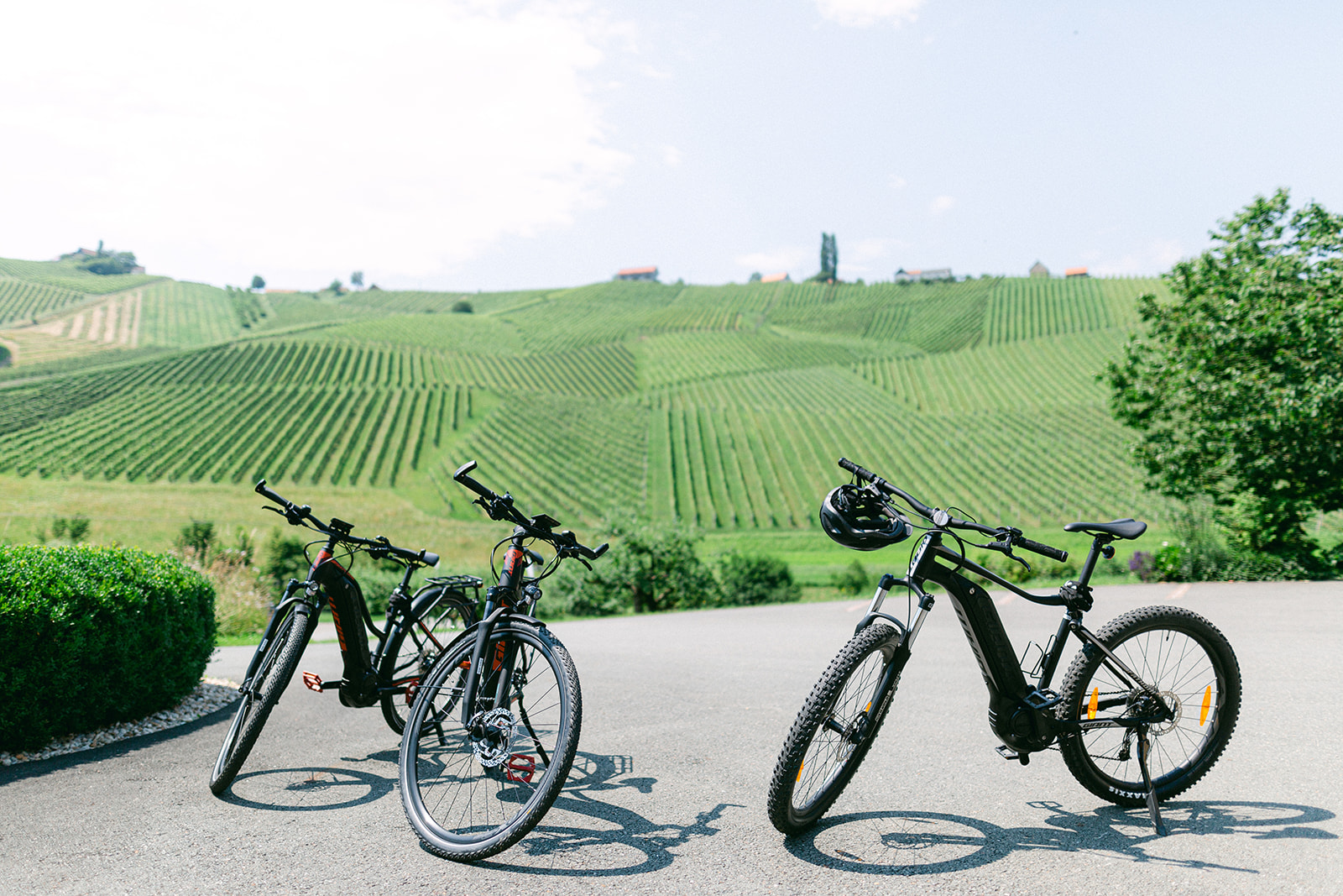 eBike-Verleih in den Weinbergen