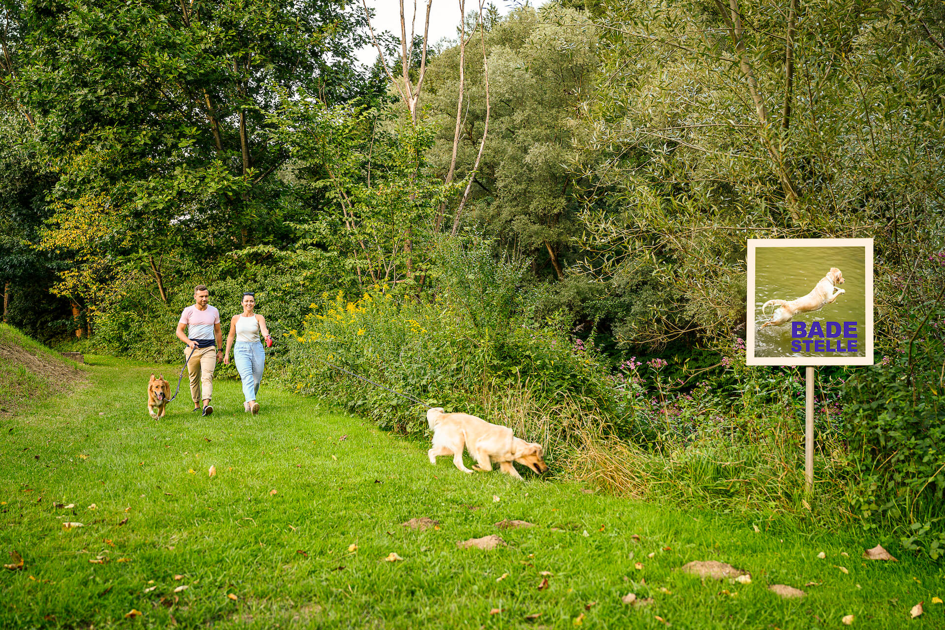 Wandern mit Hunden am Sulmsee